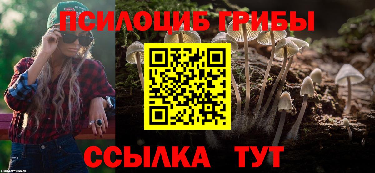 как найти закладки  Галлюциногенные грибы MAGIC MUSHROOMS  Нижний Тагил  Вход с VPN  Псилоцибиновые грибы MAGIC MUSHROOMS 